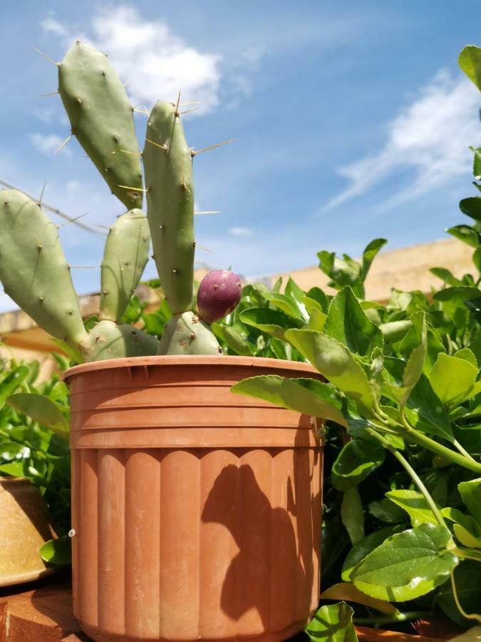 B&B Scogli Bianchi Lido di Noto Kültér fotó